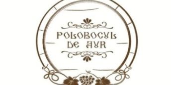 Concursul “Polobocul de aur 2020”